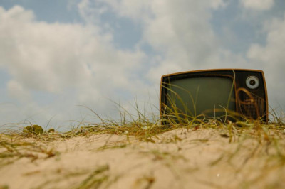 ways to set your home for your specific new ragdoll