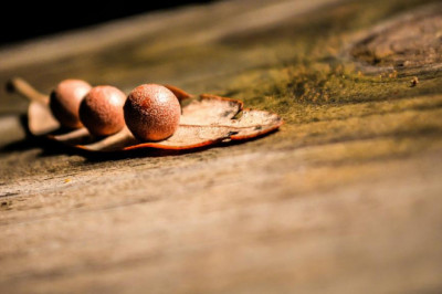 7 trends you may have missed about the hindu editorial