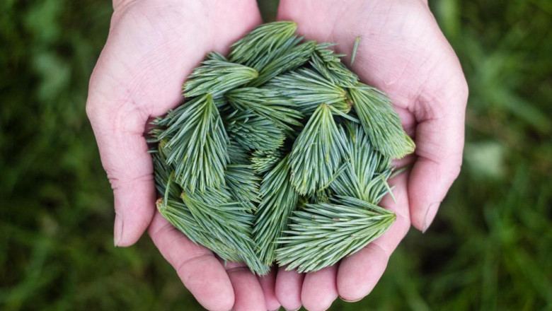 perks of collaborating by using a tailor madecreated house builders in virginia seaside front