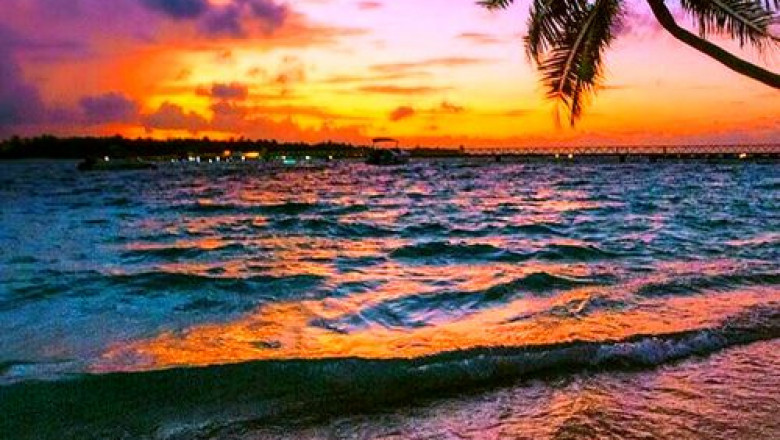 Photography On The Beach: 7 Tips For A Perfect Beach Shot