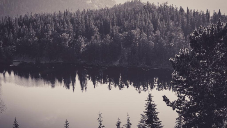 10 facebook pages to follow about spiritual energy healing