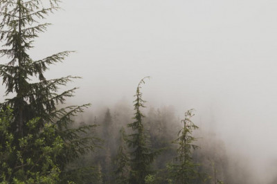 20 questions you should always ask about brampton immigration consultants before buying it