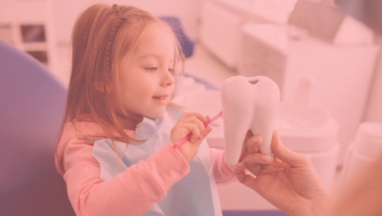 DENTIST IN NORTHAMPTON, MA