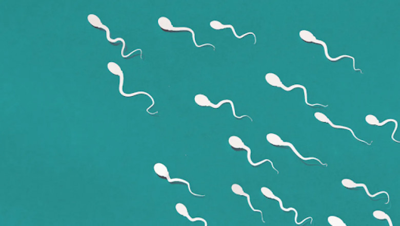 ICSI Treatment – Everything You Should Know About It