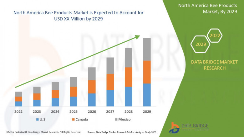 Market Analysis and Insights 2022-2029- North America Bee Products Market Market Analysis and Insights 2022-2029- North America Bee Products Market