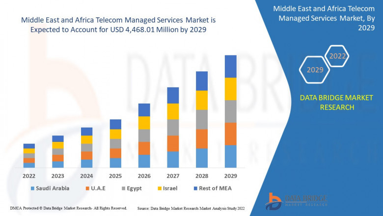 Middle East and Africa Telecom Managed Services Market Share Analysis