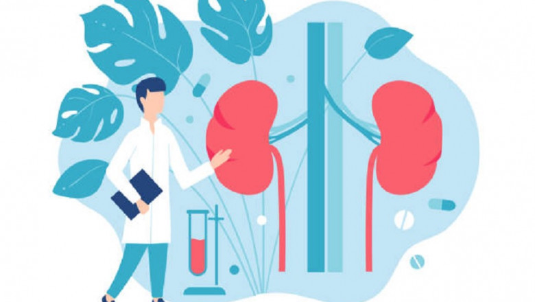 7 reasons to look for a urologist urgently!