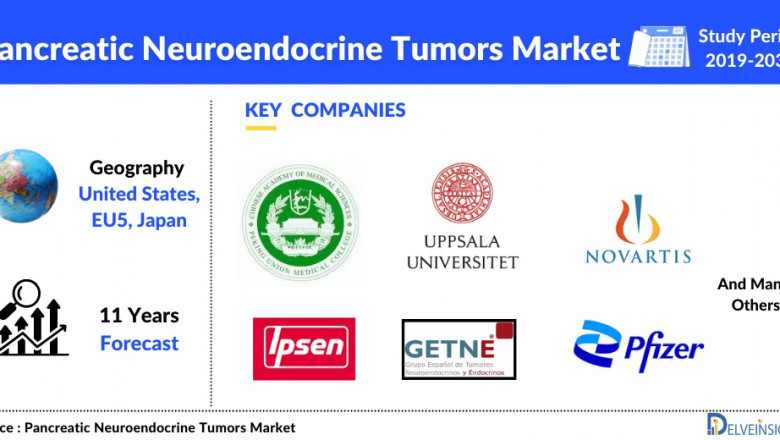 DelveInsight’s expert analysts estimate that the Pancreatic Neuroendocrine Tumors Market is Expected to Show Positive Growth