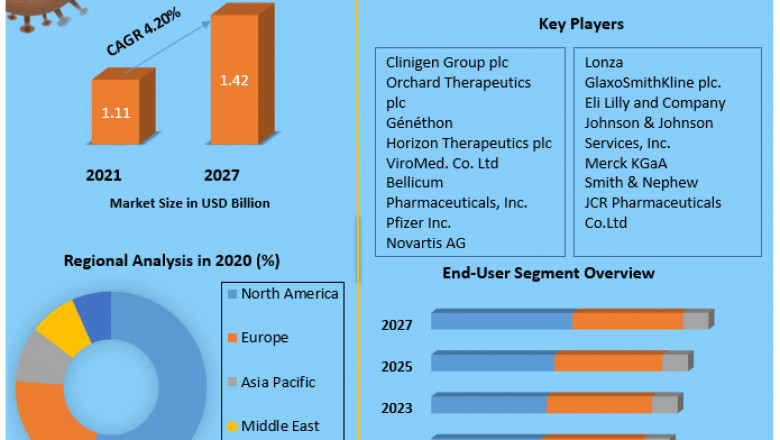 Global Chronic Granulomatous Disease Market Industry Analysis, Trends, opportunities, assessment, development, Segmentation and Forecast 2027