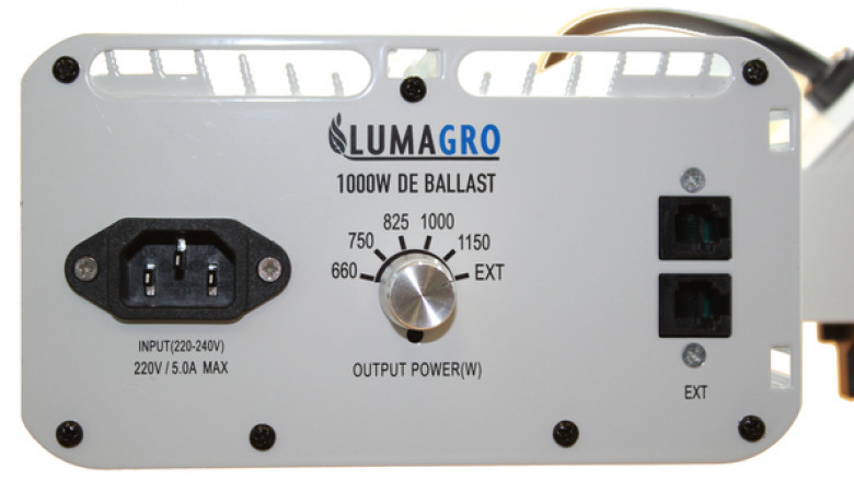 How to Use LED Grow Lights: Everything You Need to Know