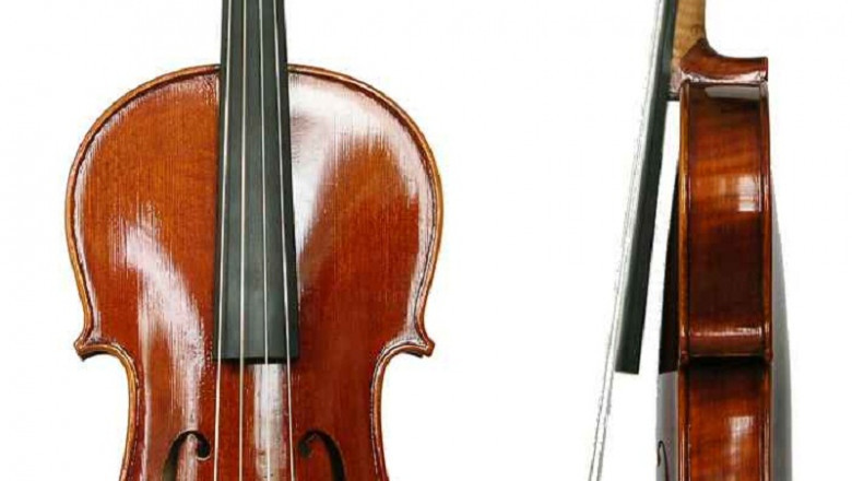 Viola Market Size, Share, Forecast, & Industry Analysis 2029