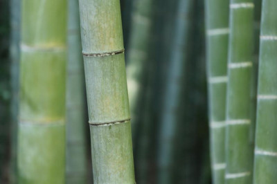 where will ation agent best immigration lawyer for canada in india best agent for canada student visa best agent for canada work permit best agent for canada tourist visa be 1 year from now