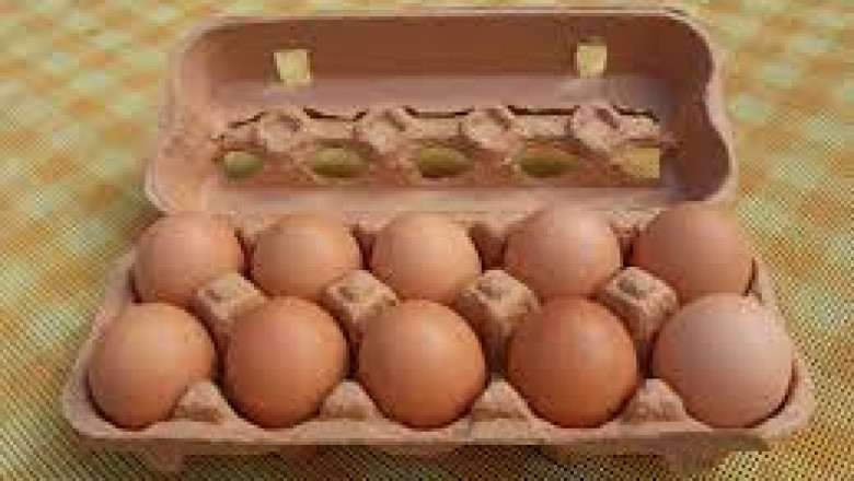 Egg Carton Market 2022 | Industry Demand, Fastest Growth, Opportunities Analysis and Forecast To 2028
