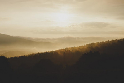 how to pick the right office furniture