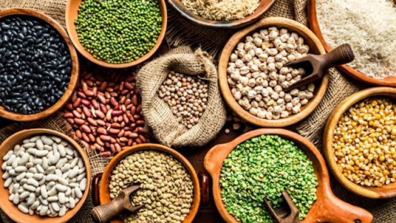 Seed Coating Market Size, Share, Growth Opportunity & Global Forecast to 2028