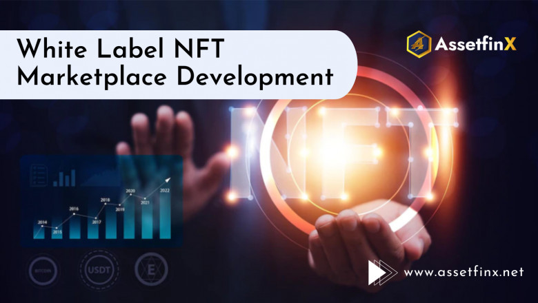 White Label NFT Marketplace Development Solution- Assetfinx