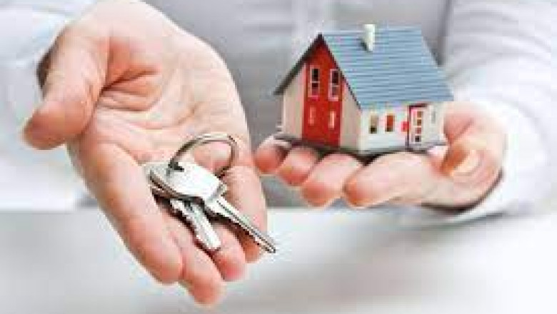 Real Estate Agent Orange Beach Alabama