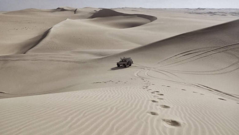 want lavish travel knowledge exotic automobile rental miami