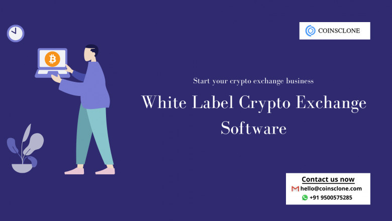 How to minimize the developing cost of crypto exchange?