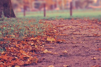 the best kept secrets about hardwood floor installation