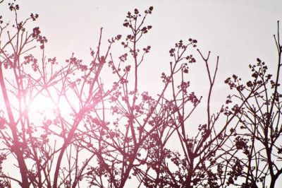 tips determine industrial storage lockers