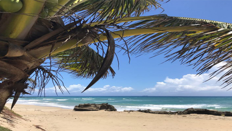 Motives for Vacationing in the Dominican Republic