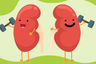 5 Best Tips For Keeping Your Kidneys Healthy For The Long Run