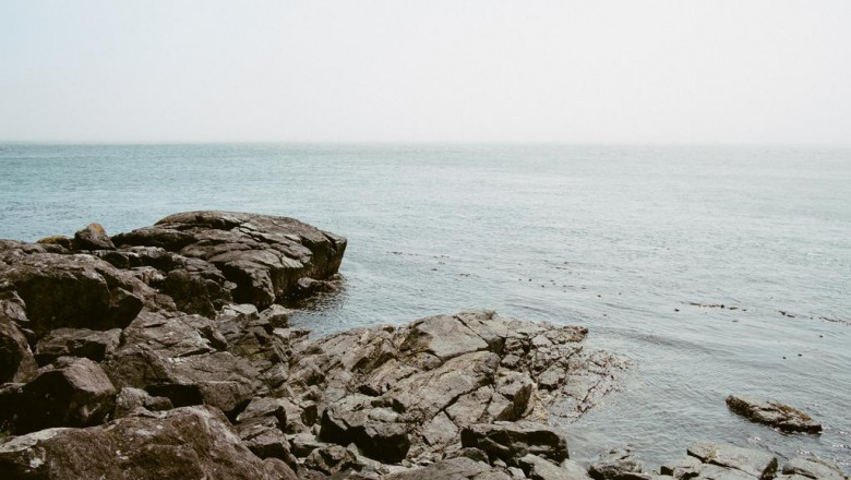 a stepbystep guide to bravo yogurt suppositories