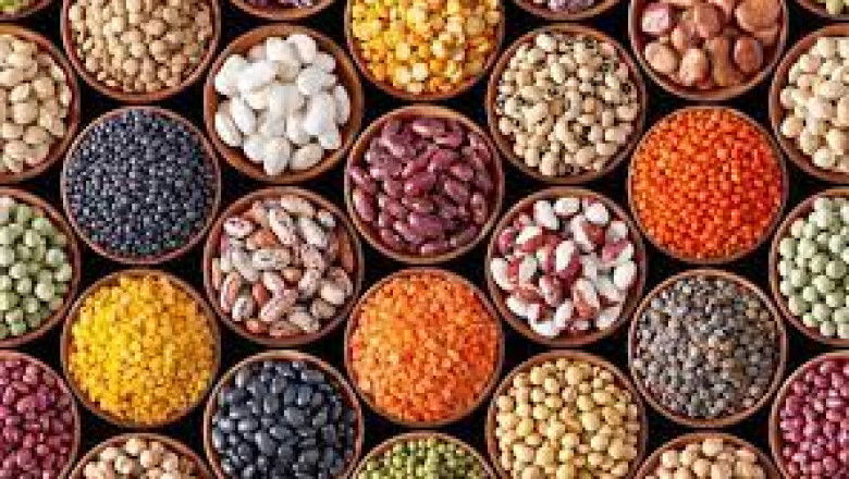 El Mercado Latinoamericano de Ingredientes Bioactivos
