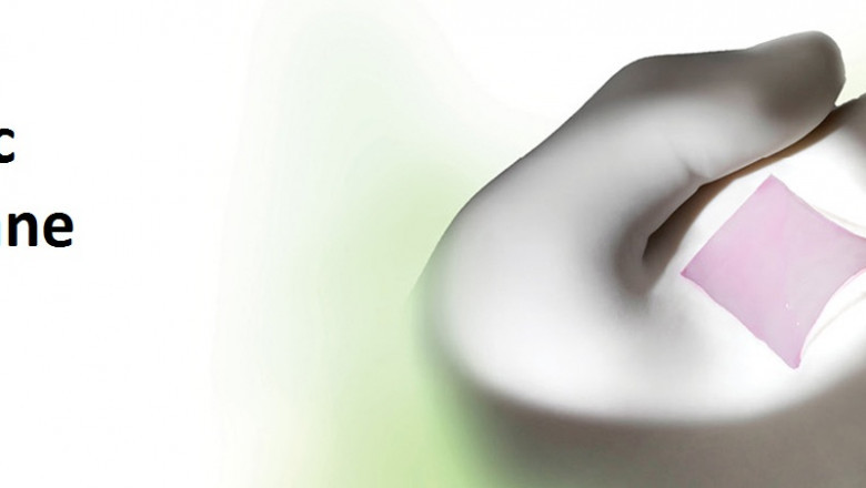 For transplant purposes, the amniotic membrane is harvested from a woman's placenta and used as a layer of foetal membrane