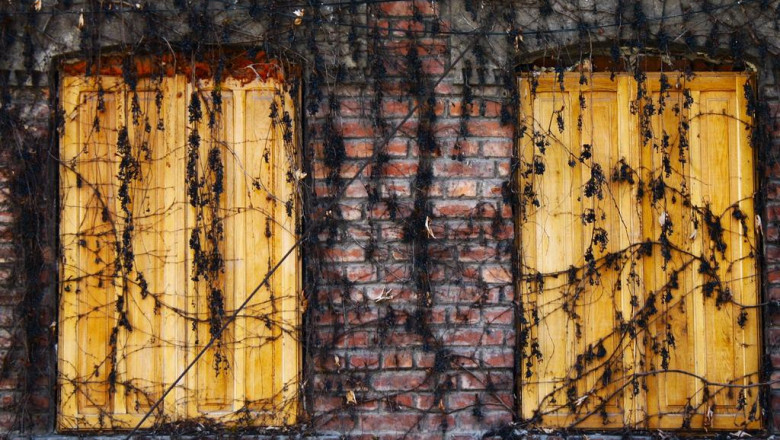 how to sell bravo suppository to a skeptic