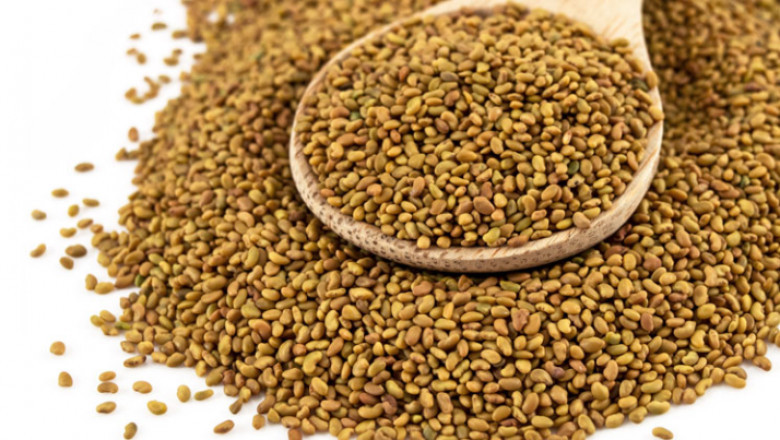 Alfalfa Seeds for a Healthy Body and Mind