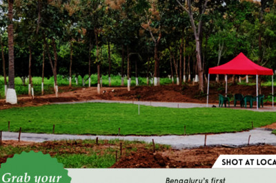 Farm Lands For Sale in Bangalore|Farm Lands For Sale in Kanakapura