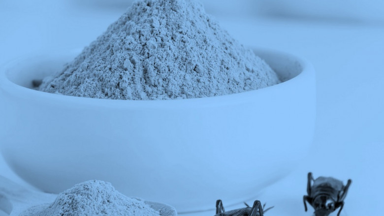 Insect Protein Market Is Booming Worldwide | Bis Research Report