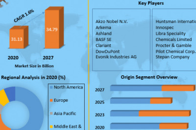 Specialty Surfactants Market Future Trends, Industry Size And Regional Forecast To 2027