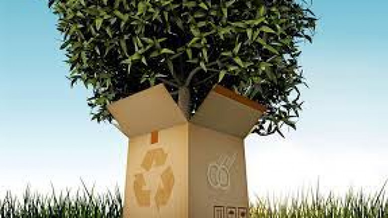 Sustainable Packaging Market Size, Key Players Analysis And Forecast To 2028 | Value Market Research