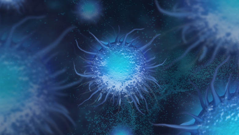 The global cell-based assay market: trends, size, growth, opportunity, and forecast to 2028