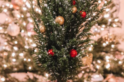 Who said it’s Too Early for Christmas Decorations in September