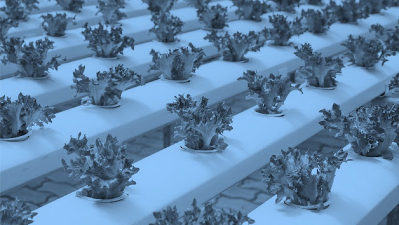 Clean Label Ingredients Market 2020 | In-Depth Research on Market Trends