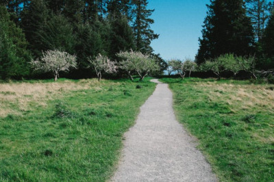 natural transplants hair hair transplantation center and fue hair restoration near mclean