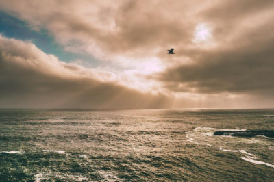 natural transplants hair restoration clinic and cost for hair transplant near alexandria va