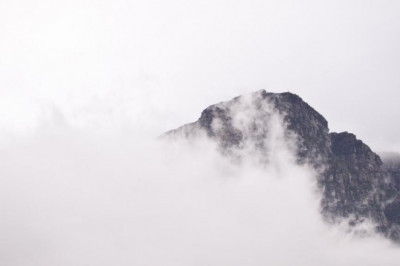 natural transplants hair restoration clinic and hair transplant fue near mclean va