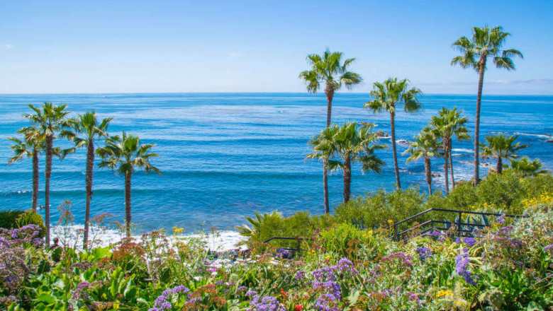 Vacation Rental Companies