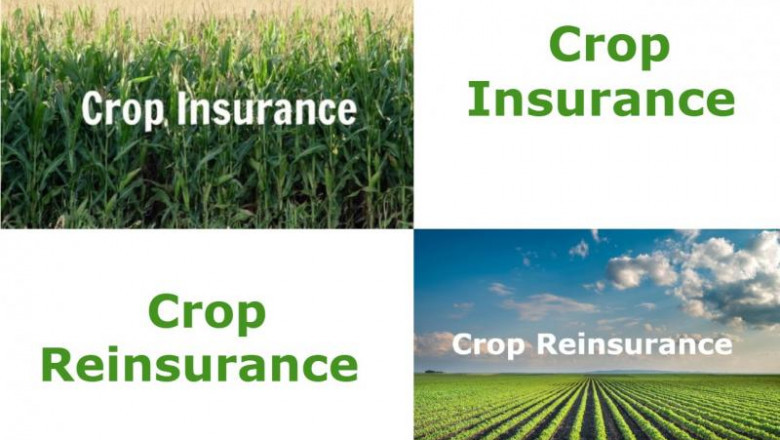 Crop Reinsurance Market Size, Key Players Analysis And Forecast To 2028 | Value Market Research