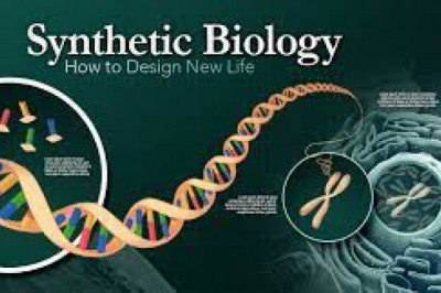 Synthetic Biology Market Overview