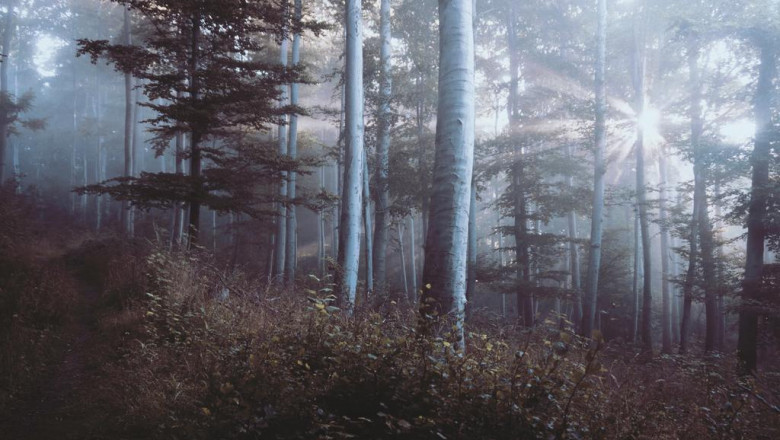 bribery and defamation the new elements of real estate transactions