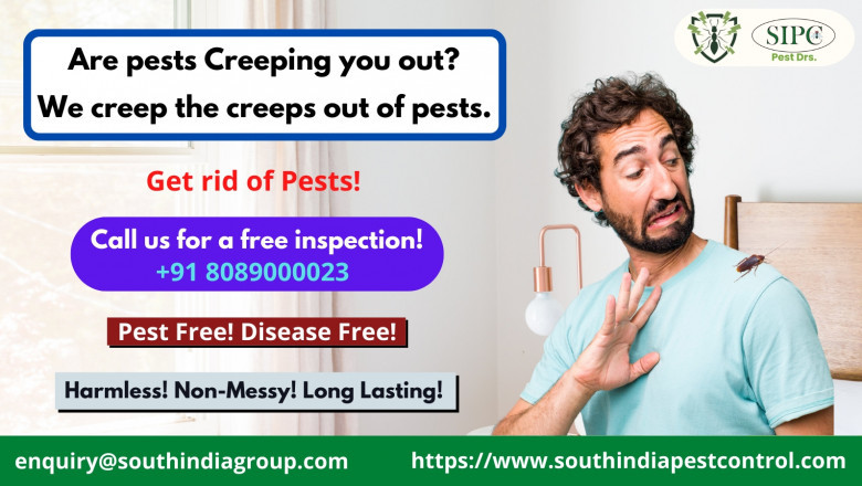 Pest Control Services in Goa