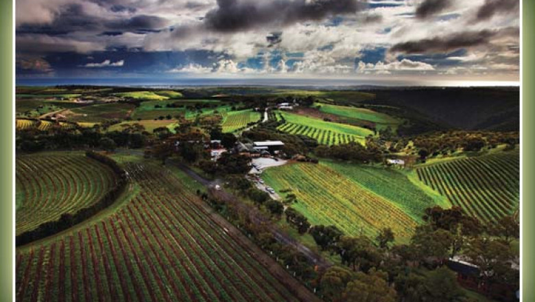 Wine Tour