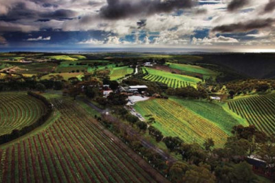 Wine Tour