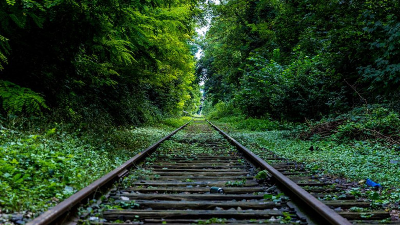 10 best facebook pages of all time about bravo probiotic yoghurt